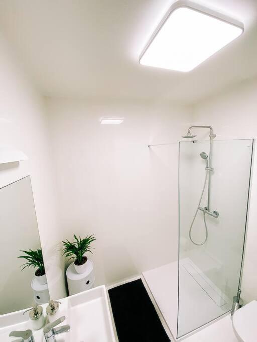 New Studio In Quiet Part Of The City Center Братислава Екстер'єр фото